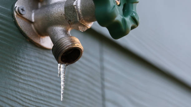 Best Shower Repair Services  in Dadeville, AL